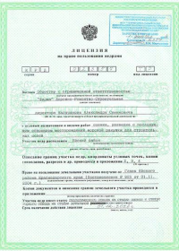 Лицензия 2